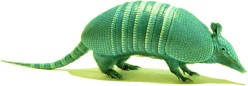 armadillo_logo.jpg