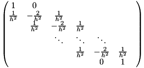 \[\begin{pmatrix} 1 & 0 \\ \frac{1}{h^2} & -\frac{2}{h^2} & \frac{1}{h^2} \\ & \frac{1}{h^2} & -\frac{2}{h^2} & \frac{1}{h^2} \\ & & \ddots & \ddots & \ddots \\ & & & \frac{1}{h^2} & -\frac{2}{h^2}& \frac{1}{h^2} & \\ & & & & 0 & 1 \end{pmatrix}\]